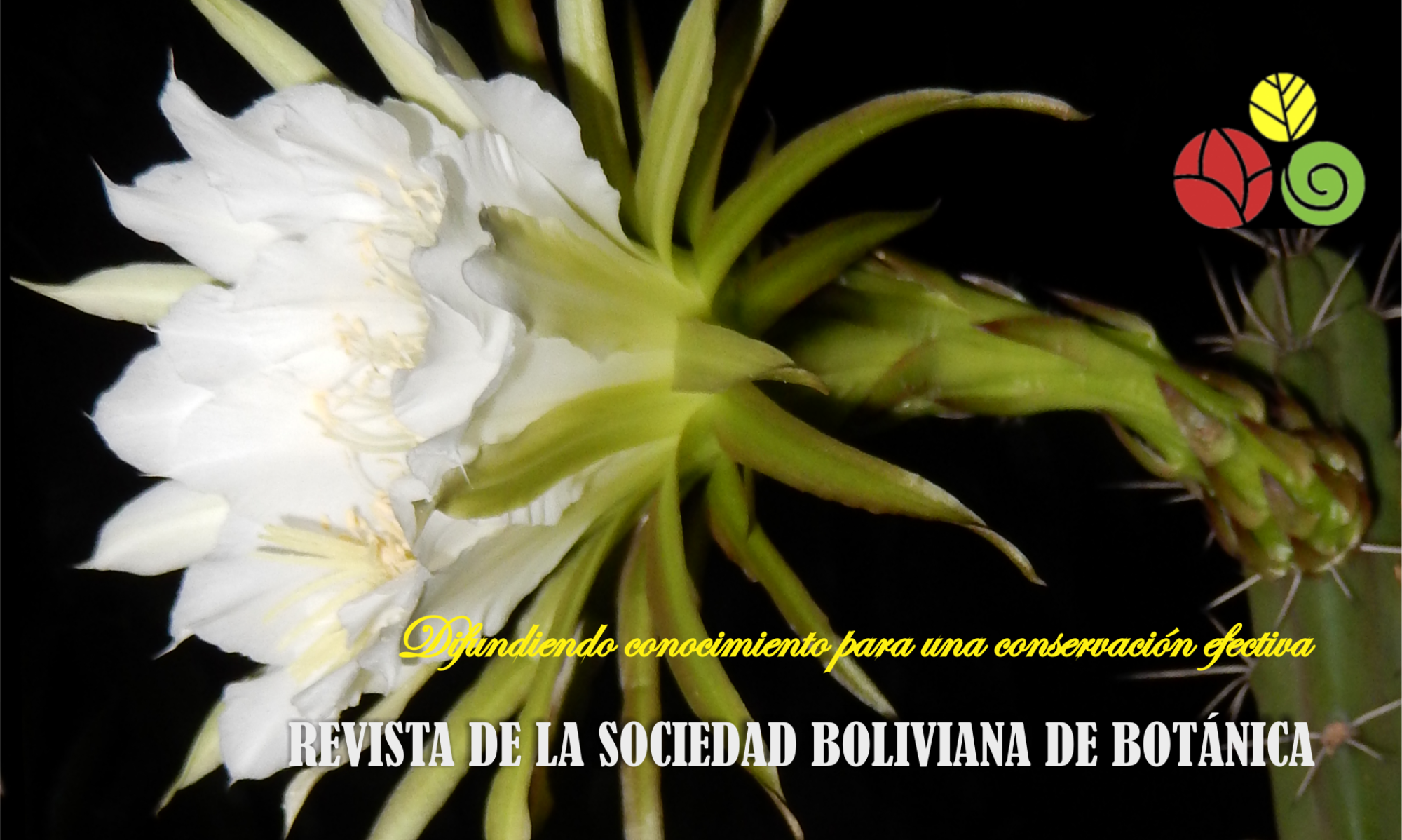 Revista de la Sociedad Boliviana de Botánica